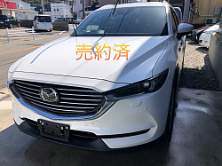 売約済