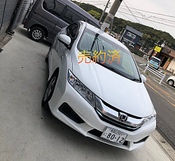 売約済