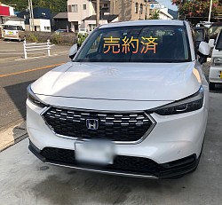 売約済