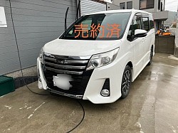 売約済